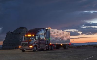 January 2025 Newsletter