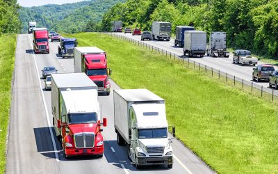 March 2025 Newsletter